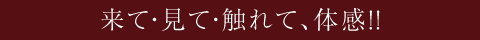 来て・見て・触れて、体感！！